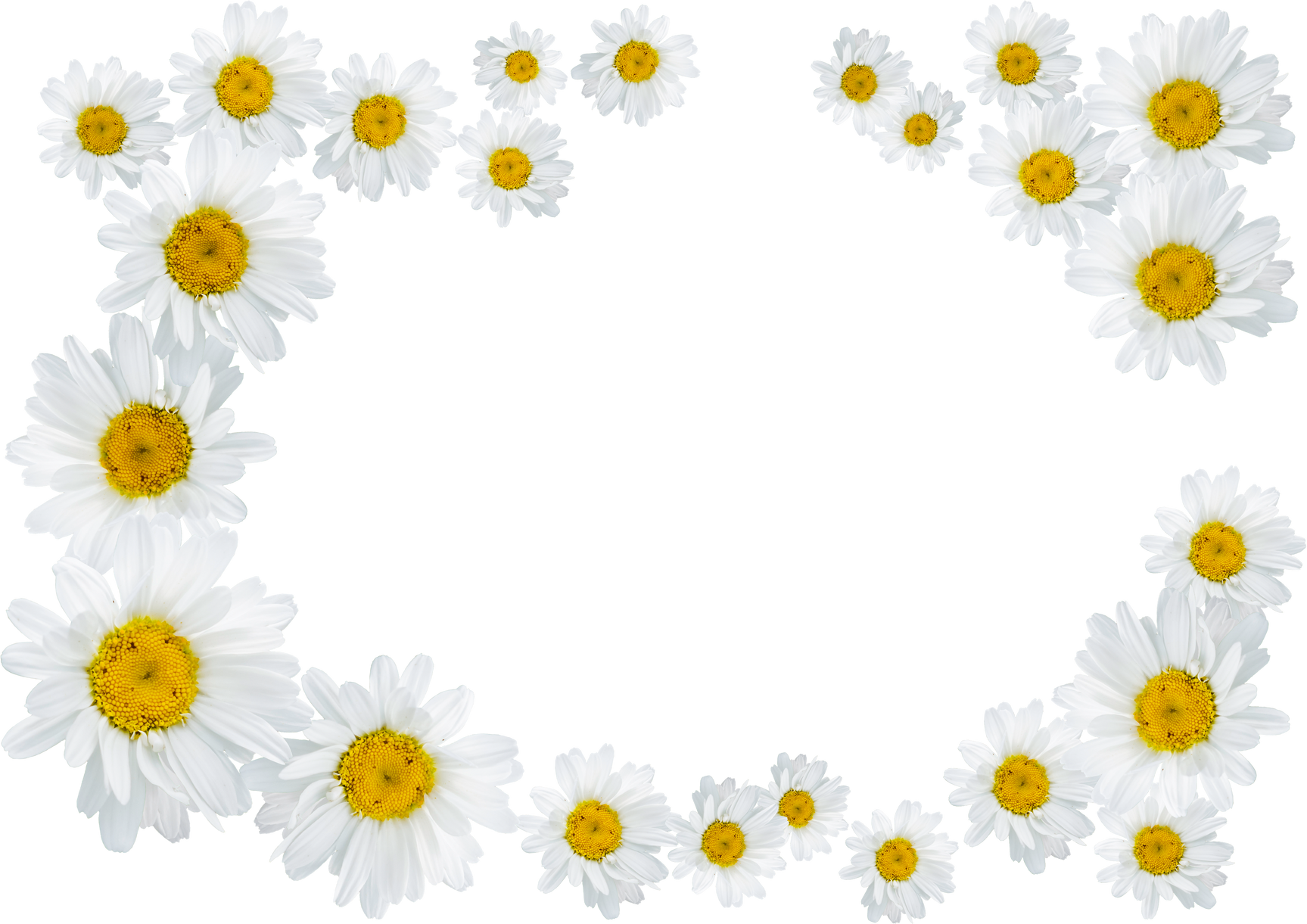 Floral Frame Illustration